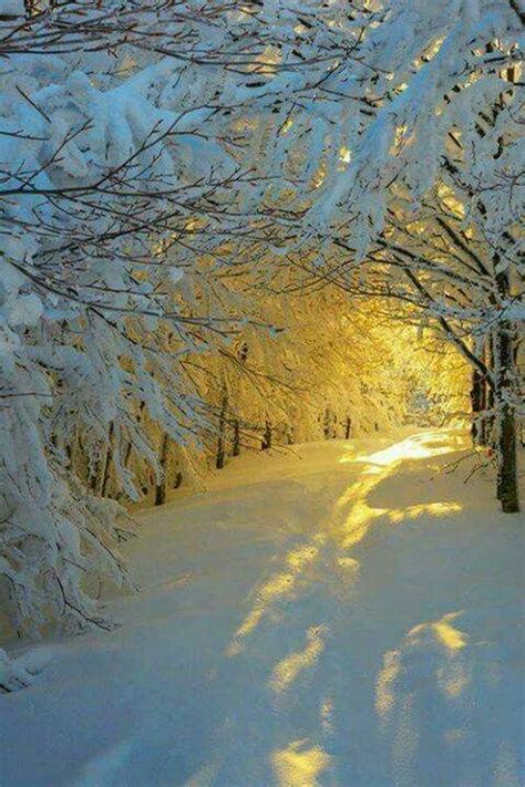 Amazing Nature Beautiful Places Beautiful Winter Pictures Beautiful