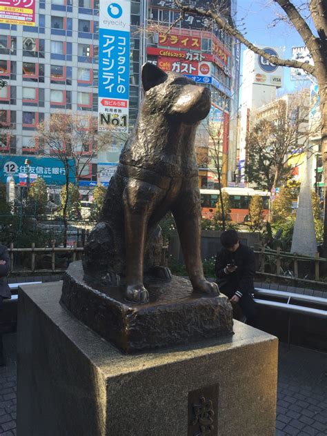 The True Story Of Hachiko Japans Most Loyal Dog Hackzhub