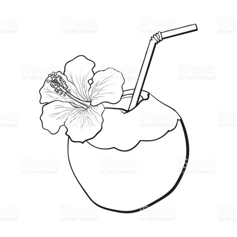 Download this coloring pages for free in hd resolution. Coconut Coloring Page at GetColorings.com | Free printable ...