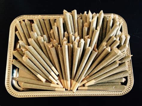 Rolled Joint Rolled Blunt Pre Rolls Weed Castmed Uk