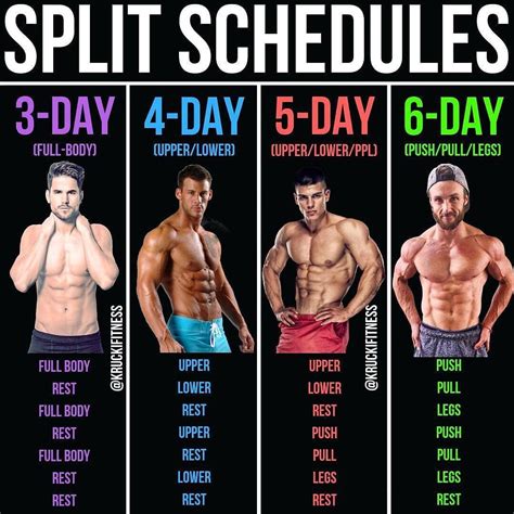 8 powerful muscle building gym training splits workout splits weight training