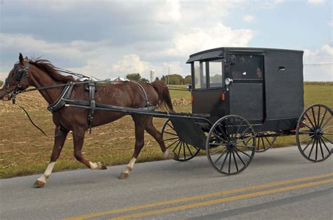Driving Safely Among Amish Communities Rinehardt Injury Attorneys