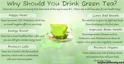 Know About Wonderful Benefits Of Green Tea My Health Only