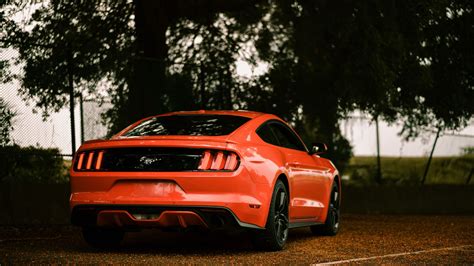 Download Wallpaper 2560x1440 Ford Mustang Ford Car Sportscar Red