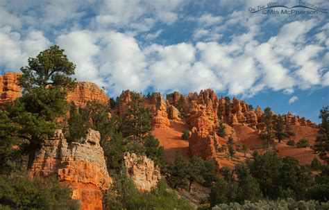 Red Canyon In The Dixie National Forest On The Wing Photography
