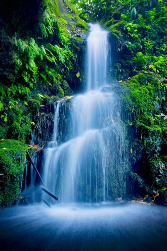 Beautiful Lush Waterfall Stock Photo Download Image Now Istock