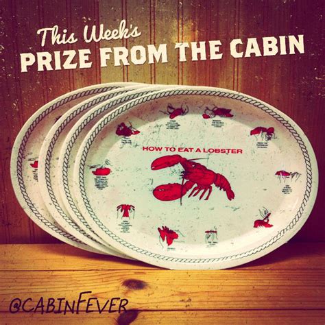 A very unique flavor with intense aromas. Cabin Fever Maple Whisky 360º Programming and Tour on Behance