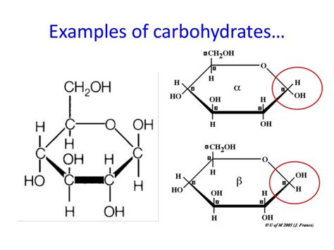 Lesson 2 Carbohydrates