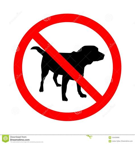 Devclient is not allowed the project previously worked without issue. Sign No Dogs On White Background. Prohibition Sign. Not Allowed Sign. Labrador Retriver. Vector ...