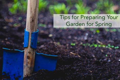 Tips For Preparing Your Garden For Spring Beaver Lakes Nursery And