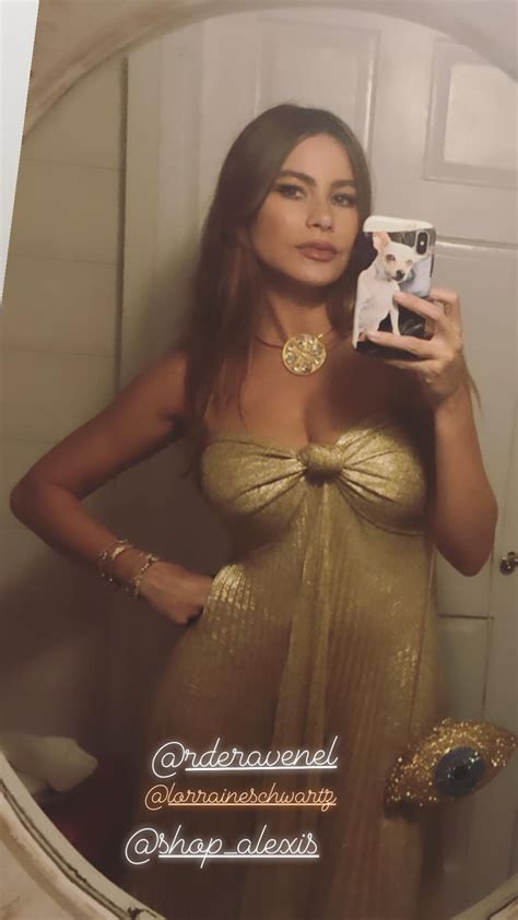 Sofia Vergara Sexy Gold Dress Hot Celebs Home