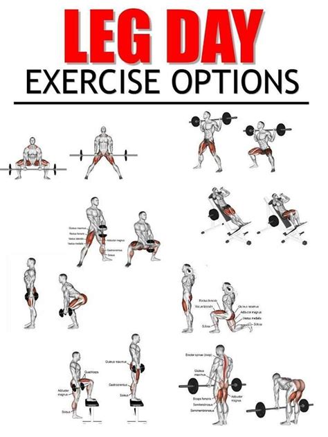 It indicates an expandable section or menu, or sometimes previous / next navigation options. Top 9 Best Leg Exercises For You To Build Size - Free Gym ...