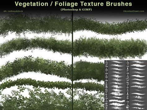 Vegetation Foliage Textures Photoshop Brushes