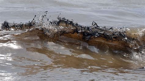 An Irresponsible Act Oil Spill In Pantai Cermin Causes Severe Damage