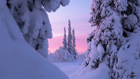 Photographer Of The Month Terhi Tuovinen Visit Finnish Lapland