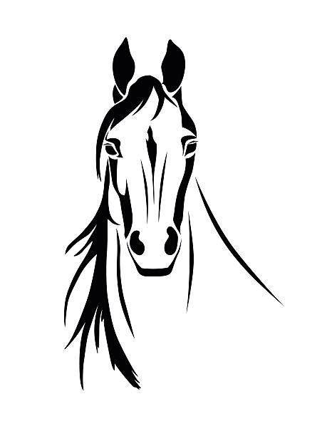 Horse Head Silhouette Illustrations Royalty Free Vector Graphics