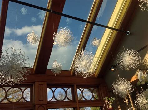 Maybe you would like to learn more about one of these? Pin by Valley Forge Flowers on Valley Forge Flowers, Wayne ...