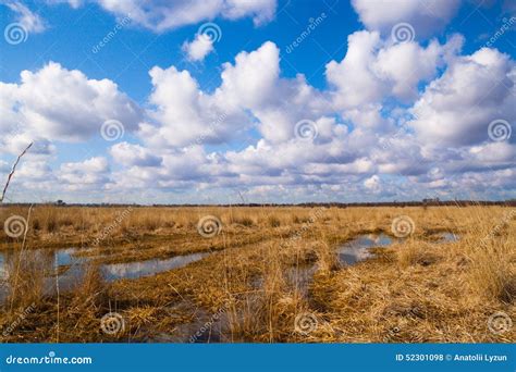 Flooded Meadows In Early Spring Stock Photo Image Of Landscape