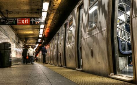 Bubonic Plague Bacteria Found In New Yorks Subways Science Aaas