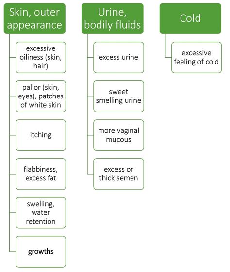 Your Guide To Dosha Imbalance The Ayurveda Practice