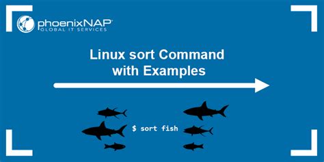 Linux Sort Command With Examples