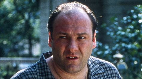 25 Best Sopranos Episodes Ranked