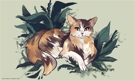 Our Favorite Spottedleaf Art Warrior Cats In 2021 Warrior Cats Art