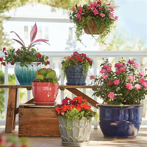 Which brand has the largest assortment of garden decor at the home depot? Container Garden Ideas - The Home Depot