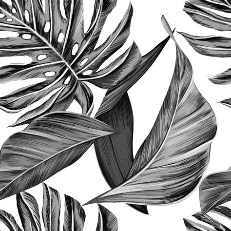 Tropical Leaves Abstract Background Free Stock Photo Public Domain