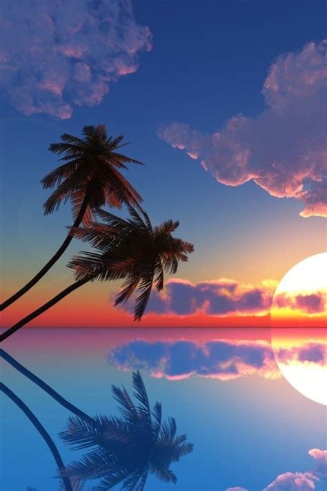 Palm Trees With Sunset In Hawaii My Back Yard Pinterest