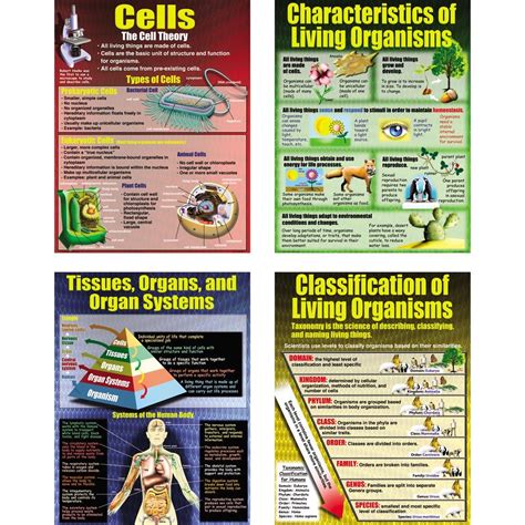Living Organisms Posters United Art And Education