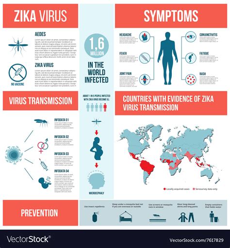 Zika Virus Infographics Royalty Free Vector Image