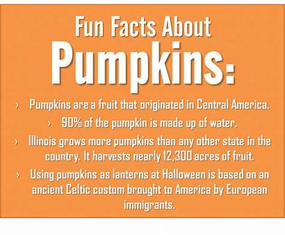 Facts Halloween Trivia Ebaumsworld