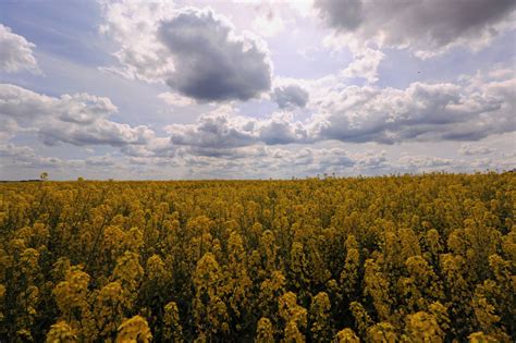 Spontaner Roadtrip nach Tschechien und Polen - WHATABUS