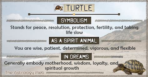Turtle Meaning And Symbolism The Astrology Web