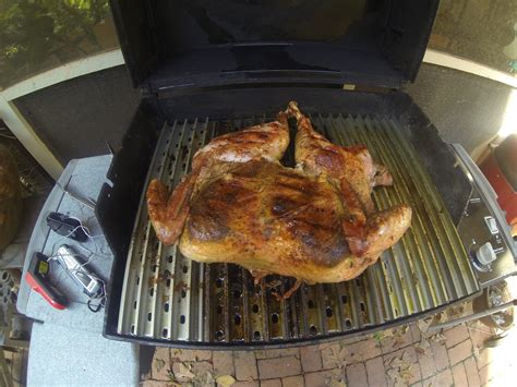 spatchcocked and brined grilled turkey