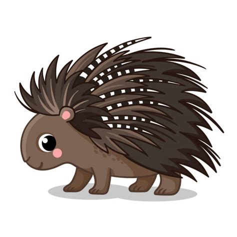 Porcupines Cartoon ~ Smiling Little Porcupine Illustrations Royalty