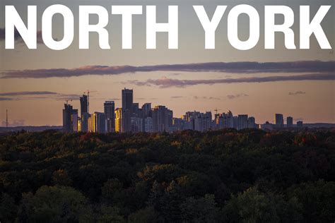 Your donations help north york general deliver exceptional care to generations of families in our community. North York - Ludwig van Toronto