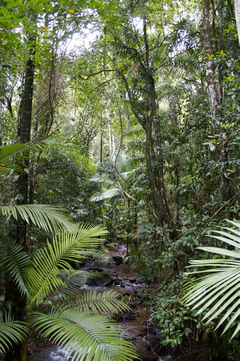 Weekend Diversion: The Top 10 Forests in the World | ScienceBlogs