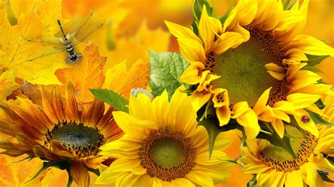 Wallpapercave is an online community of desktop wallpapers enthusiasts. Fall Flowers Wallpaper (48+ pictures)