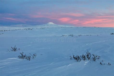 Winter Arctic Landscape Tundra And Hills Covered With Snow Stock Image