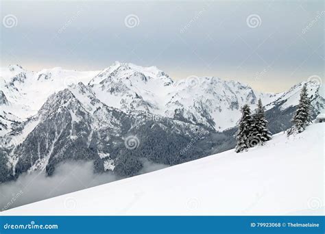 Snow Capped Mountains Beyond A Snowy Field Stock Photo Image Of