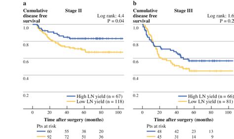 Disease Free Survival Curves Of Colon Cancer Patients With High C 10 Download Scientific