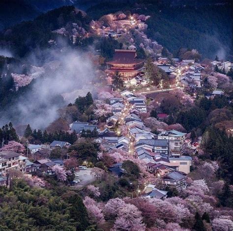 Pin By Valeri Lera On Beauty Of Our Planet Japan Landscape Japan