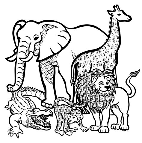 African Animals Lineart Zoo Animal Coloring Pages Animal Coloring