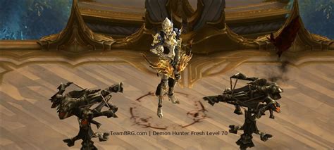 The menagerist goblin will always drop a pet you don't have. D3 Demon Hunter Fresh Level 70 Guide S14 | 2.6.1 | Team BRG