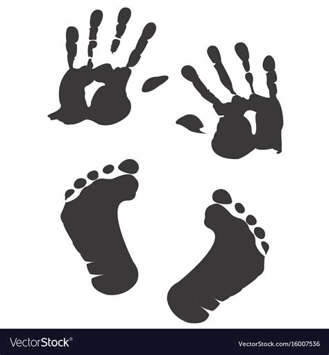 Children S Handprint And Footprint Royalty Free Vector Image