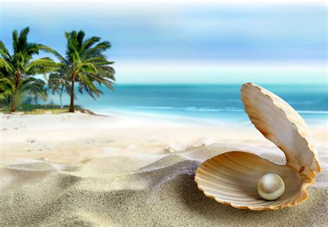 Hd Wallpaper Pearl In Shell Painting Sand Sea Beach The Sun