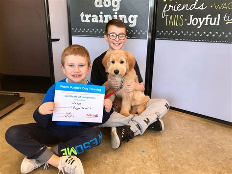While you're there, stock up on all the essentials to properly care for your new friend. Puppy Level 1 Dog Training Graduate Petco Mini