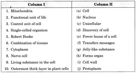 Cell Structure And Functions Class 8 Extra Questions Science Chapter 8